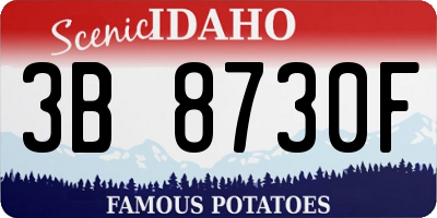 ID license plate 3B8730F