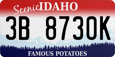 ID license plate 3B8730K