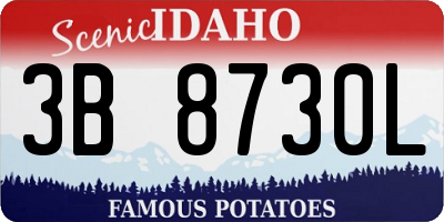 ID license plate 3B8730L