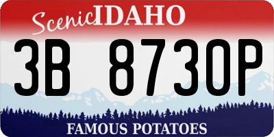 ID license plate 3B8730P
