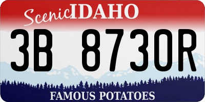 ID license plate 3B8730R
