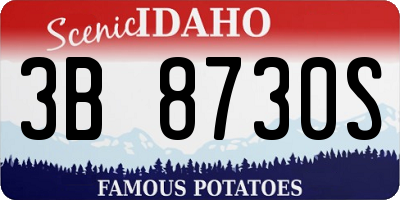ID license plate 3B8730S