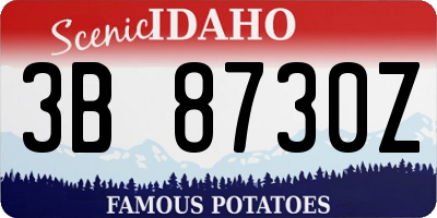 ID license plate 3B8730Z
