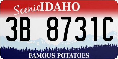 ID license plate 3B8731C