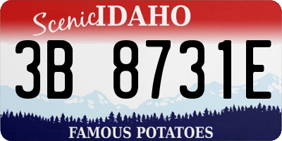 ID license plate 3B8731E