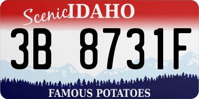 ID license plate 3B8731F