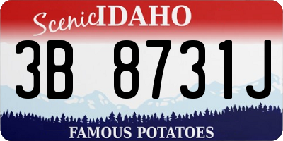 ID license plate 3B8731J