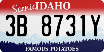 ID license plate 3B8731Y