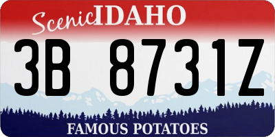 ID license plate 3B8731Z