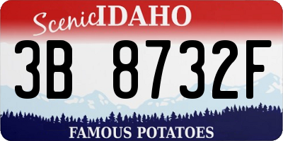ID license plate 3B8732F