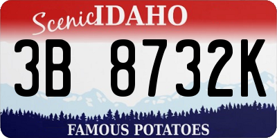 ID license plate 3B8732K