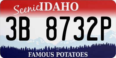 ID license plate 3B8732P