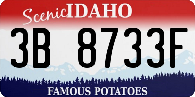 ID license plate 3B8733F