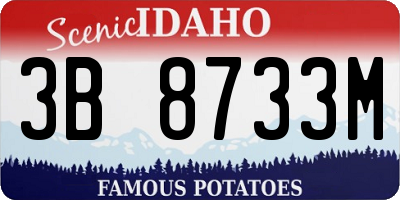 ID license plate 3B8733M