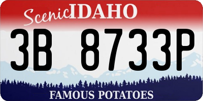 ID license plate 3B8733P