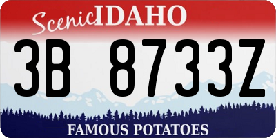 ID license plate 3B8733Z