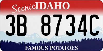 ID license plate 3B8734C