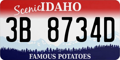 ID license plate 3B8734D