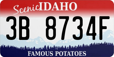 ID license plate 3B8734F
