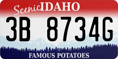 ID license plate 3B8734G