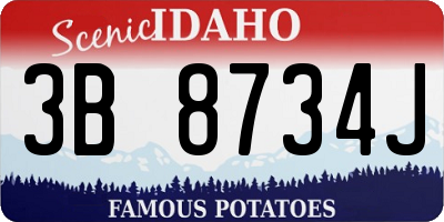 ID license plate 3B8734J