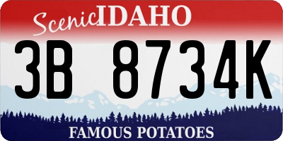 ID license plate 3B8734K