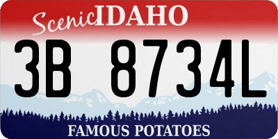 ID license plate 3B8734L