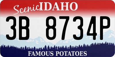 ID license plate 3B8734P
