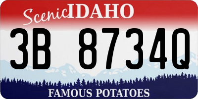 ID license plate 3B8734Q