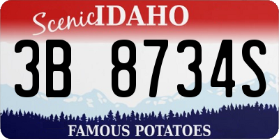 ID license plate 3B8734S