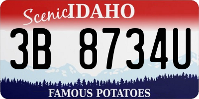 ID license plate 3B8734U
