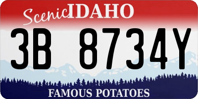 ID license plate 3B8734Y