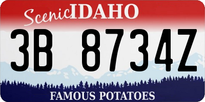 ID license plate 3B8734Z