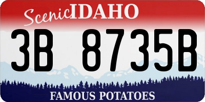 ID license plate 3B8735B