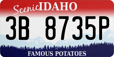 ID license plate 3B8735P