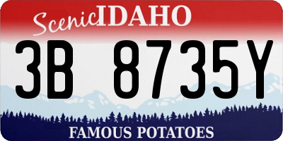 ID license plate 3B8735Y