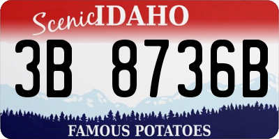 ID license plate 3B8736B