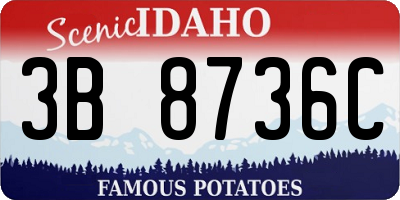 ID license plate 3B8736C