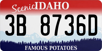 ID license plate 3B8736D
