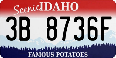 ID license plate 3B8736F