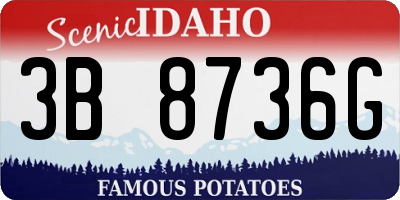 ID license plate 3B8736G