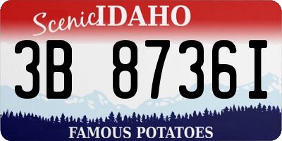 ID license plate 3B8736I