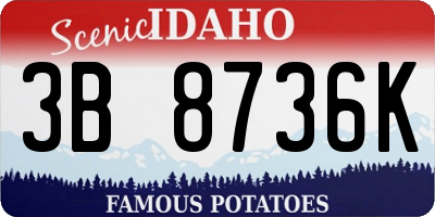 ID license plate 3B8736K
