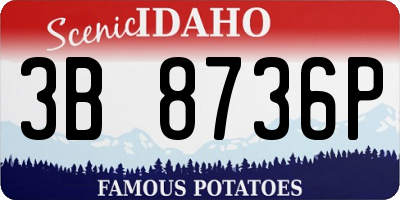 ID license plate 3B8736P