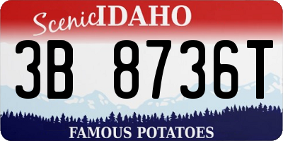 ID license plate 3B8736T
