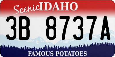 ID license plate 3B8737A
