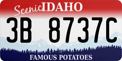 ID license plate 3B8737C