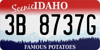 ID license plate 3B8737G