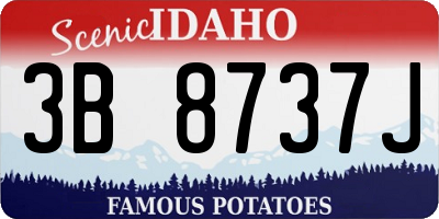 ID license plate 3B8737J