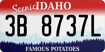 ID license plate 3B8737L